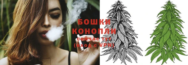 эйфоретик Белокуриха